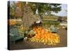 Gourds at the Moulton Farm farmstand in Meredith, New Hampshire, USA-Jerry & Marcy Monkman-Stretched Canvas