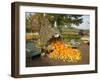 Gourds at the Moulton Farm farmstand in Meredith, New Hampshire, USA-Jerry & Marcy Monkman-Framed Photographic Print