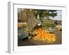 Gourds at the Moulton Farm farmstand in Meredith, New Hampshire, USA-Jerry & Marcy Monkman-Framed Photographic Print