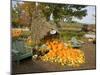 Gourds at the Moulton Farm farmstand in Meredith, New Hampshire, USA-Jerry & Marcy Monkman-Mounted Photographic Print