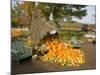 Gourds at the Moulton Farm farmstand in Meredith, New Hampshire, USA-Jerry & Marcy Monkman-Mounted Photographic Print
