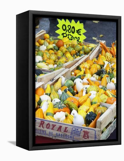 Gourds for Sale at Market Stall, Bergerac, Dordogne, France-Per Karlsson-Framed Stretched Canvas