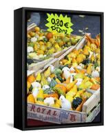 Gourds for Sale at Market Stall, Bergerac, Dordogne, France-Per Karlsson-Framed Stretched Canvas