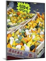 Gourds for Sale at Market Stall, Bergerac, Dordogne, France-Per Karlsson-Mounted Photographic Print