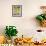 Gourds for Sale at Market Stall, Bergerac, Dordogne, France-Per Karlsson-Framed Photographic Print displayed on a wall