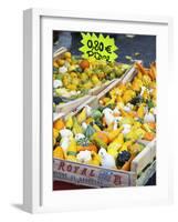 Gourds for Sale at Market Stall, Bergerac, Dordogne, France-Per Karlsson-Framed Photographic Print