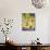 Gourds for Sale at Market Stall, Bergerac, Dordogne, France-Per Karlsson-Photographic Print displayed on a wall