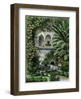 Gourds Grown as a Vine in an Arab Garden, Palestine, 19th Century-null-Framed Giclee Print