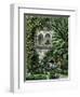 Gourds Grown as a Vine in an Arab Garden, Palestine, 19th Century-null-Framed Giclee Print