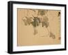 Gourds-Xu Gu-Framed Giclee Print