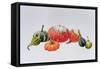 Gourds-Sally Crosthwaite-Framed Stretched Canvas