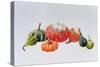 Gourds-Sally Crosthwaite-Stretched Canvas