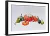 Gourds-Sally Crosthwaite-Framed Giclee Print