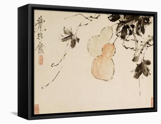 Gourds-Xu Gu-Framed Stretched Canvas