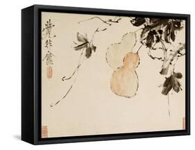 Gourds-Xu Gu-Framed Stretched Canvas