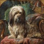 Jeannie, Queen Victoria's Favourite Spaniel-Gourlay Steel-Framed Stretched Canvas