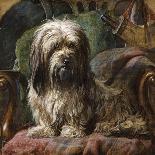 Jeannie, Queen Victoria's Favourite Spaniel-Gourlay Steel-Framed Stretched Canvas