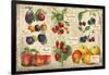 Gourmet Fruit-Kate Ward Thacker-Framed Giclee Print