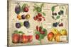 Gourmet Fruit-Kate Ward Thacker-Stretched Canvas