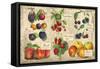 Gourmet Fruit-Kate Ward Thacker-Framed Stretched Canvas