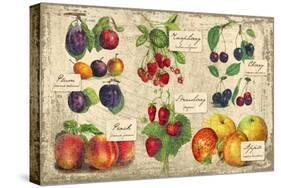Gourmet Fruit-Kate Ward Thacker-Stretched Canvas