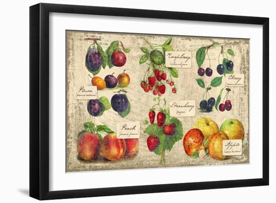 Gourmet Fruit-Kate Ward Thacker-Framed Giclee Print