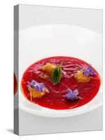 Gourmet Plate-Fabio Petroni-Stretched Canvas