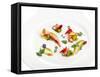 Gourmet Plate-Fabio Petroni-Framed Stretched Canvas