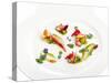 Gourmet Plate-Fabio Petroni-Stretched Canvas