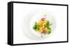 Gourmet Plate-Fabio Petroni-Framed Stretched Canvas