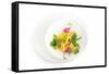 Gourmet Plate-Fabio Petroni-Framed Stretched Canvas