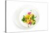 Gourmet Plate-Fabio Petroni-Stretched Canvas