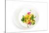 Gourmet Plate-Fabio Petroni-Stretched Canvas