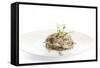 Gourmet Plate-Fabio Petroni-Framed Stretched Canvas