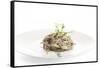 Gourmet Plate-Fabio Petroni-Framed Stretched Canvas