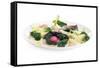 Gourmet Plate-Fabio Petroni-Framed Stretched Canvas