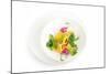 Gourmet Plate-Fabio Petroni-Mounted Photographic Print