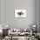 Gourmet Plate-Fabio Petroni-Photographic Print displayed on a wall