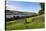 Gouthwaite Reservoir from the Nidderdale Way-Mark Sunderland-Stretched Canvas