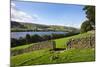 Gouthwaite Reservoir from the Nidderdale Way-Mark Sunderland-Mounted Photographic Print