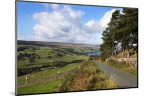 Gouthwaite Reservoir from Wath Lane-Mark Sunderland-Mounted Photographic Print