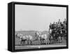 Gov. Beckham and Party at the Races, Derby Day, Louisville, Ky.-null-Framed Stretched Canvas