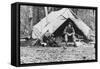 Gov. George Parks in Camp Photograph - Alaska-Lantern Press-Framed Stretched Canvas
