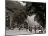 Government Street, Mobile, Ala.-null-Mounted Photo