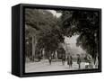 Canvas Black