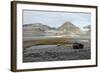 Governor's Cabin at Trinityhamn, Magdalenefjord, Svalbard, Norway, Scandinavia, Europe-David Lomax-Framed Photographic Print