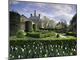 Governor's Palace, Colonial Williamsburg, Virginia, USA-null-Mounted Premium Photographic Print