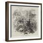 Gown and Town Row, at Oxford-null-Framed Giclee Print