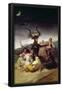 Essential Black