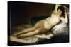 Goya: Nude Maja, C1797-Francisco de Goya-Stretched Canvas